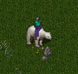 polarbear.JPG